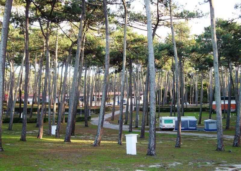 Hotel Parque De Campismo Orbitur São Pedro de Muel Exteriér fotografie